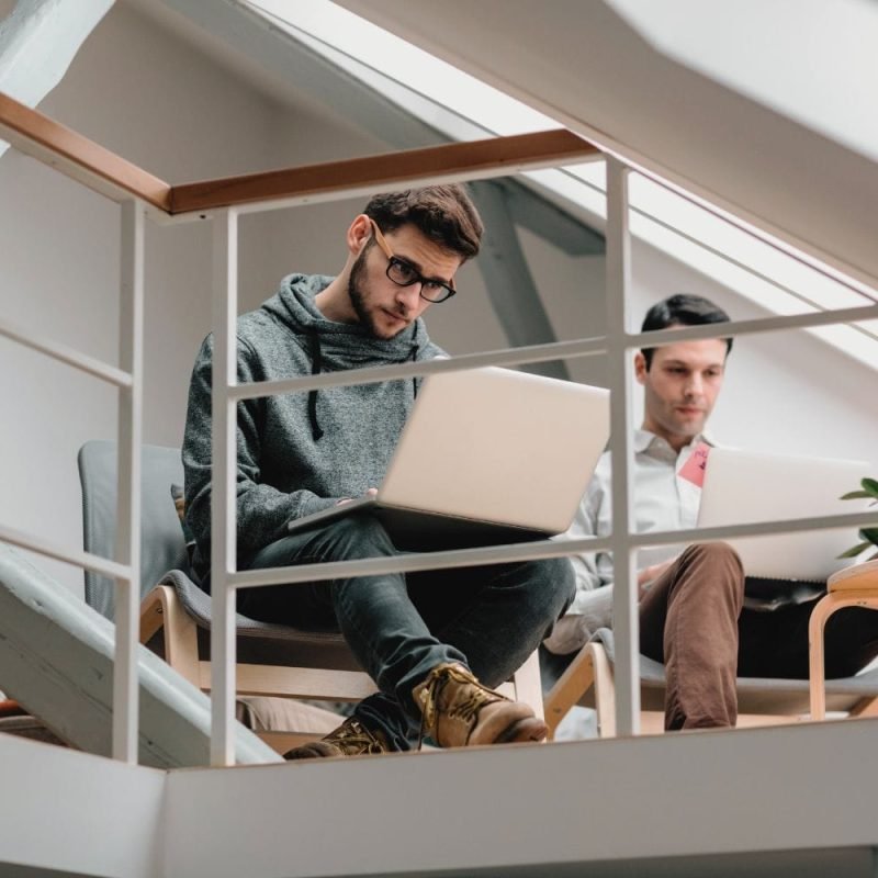 Saradniki u Labud web agenciji